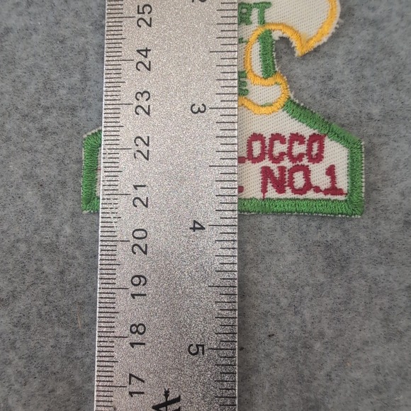 BSA Choccolocco Council No 1 Heart of Dixie Patch Scout Embroidered Fleur de Lis - Picture 3 of 3